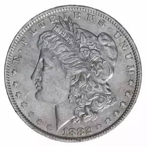 Morgan Silver Dollar (2)