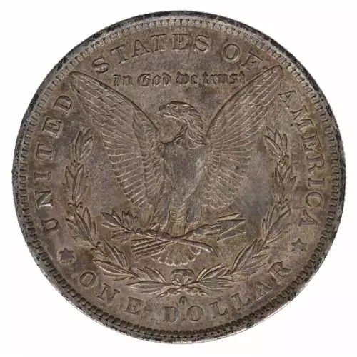 Morgan Silver Dollar (2)