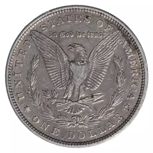 Morgan Silver Dollar (2)