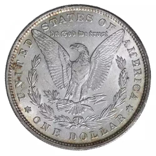 Morgan Silver Dollar (2)