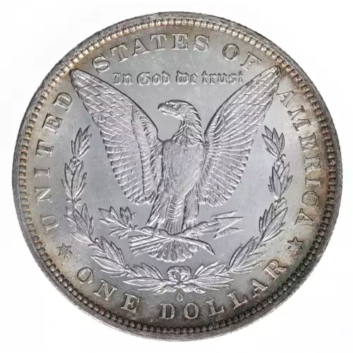 Morgan Silver Dollar (2)