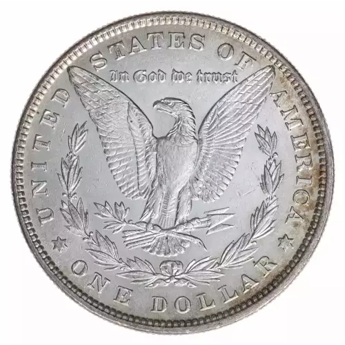 Morgan Silver Dollar (4)