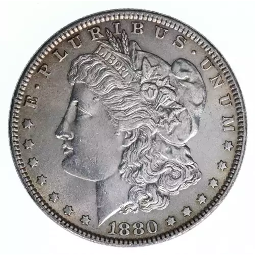 Morgan Silver Dollar