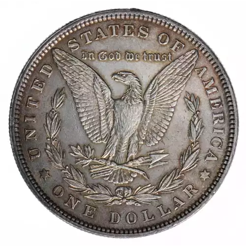 Morgan Silver Dollar (2)