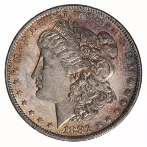 Morgan Silver Dollar