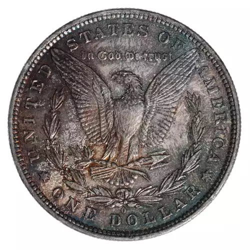 Morgan Silver Dollar (2)