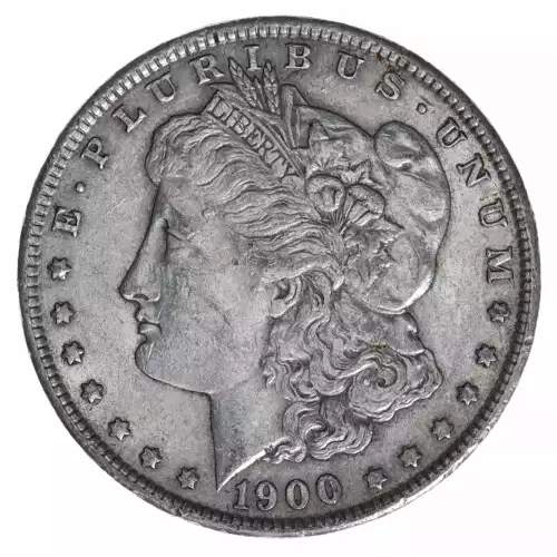 Morgan Silver Dollar (2)