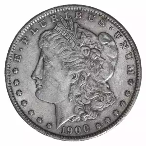 Morgan Silver Dollar (2)