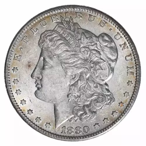 Morgan Silver Dollar (2)