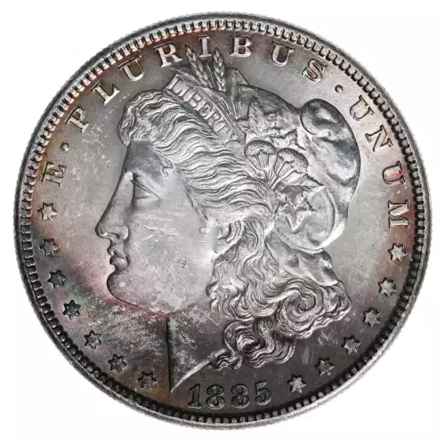 Morgan Silver Dollar (2)