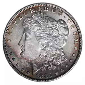 Morgan Silver Dollar (2)