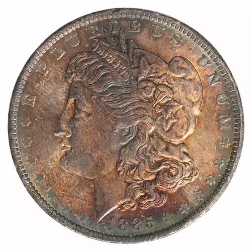 Morgan Silver Dollar (4)