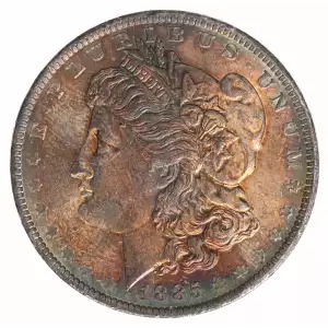 Morgan Silver Dollar (4)