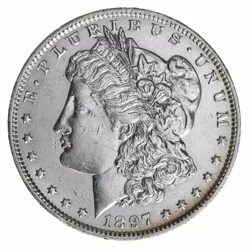 Morgan Silver Dollar