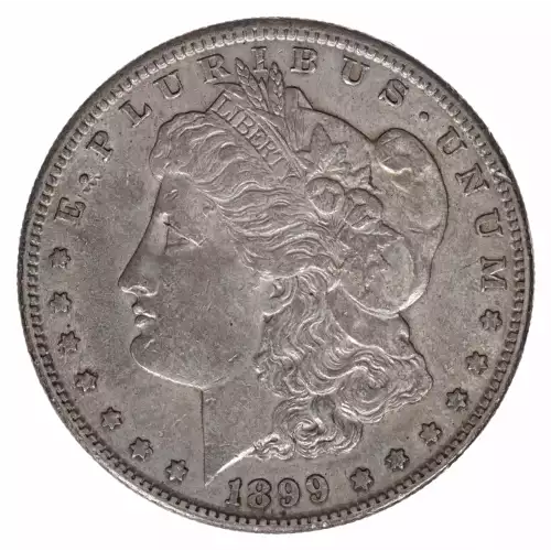 Morgan Silver Dollar (2)