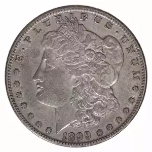 Morgan Silver Dollar (2)