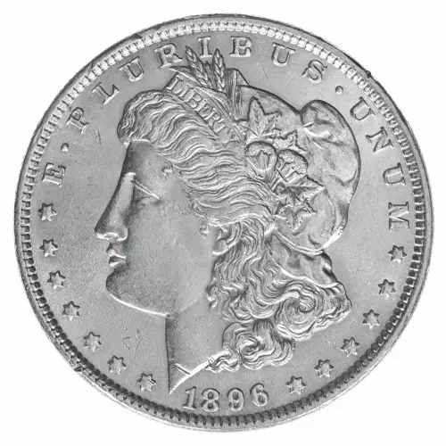 Morgan Silver Dollar (2)