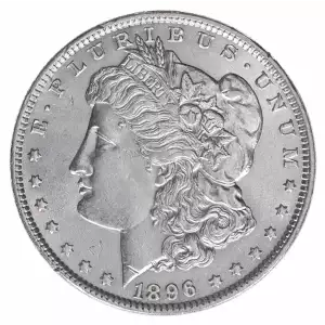 Morgan Silver Dollar (2)