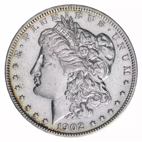 Morgan Silver Dollar (2)