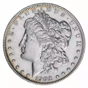 Morgan Silver Dollar (2)