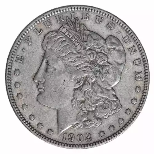 Morgan Silver Dollar (2)