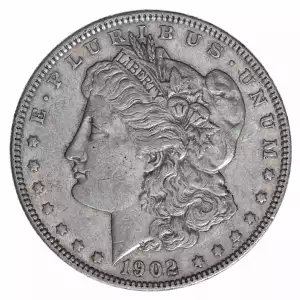 Morgan Silver Dollar (2)