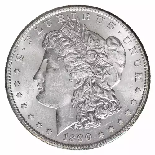 Morgan Silver Dollar (2)