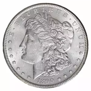 Morgan Silver Dollar (2)