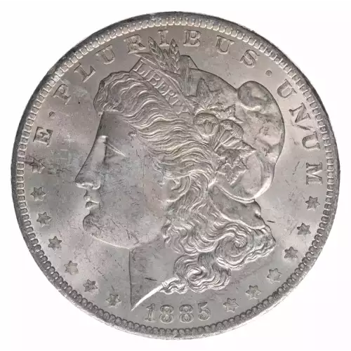 Morgan Silver Dollar (2)