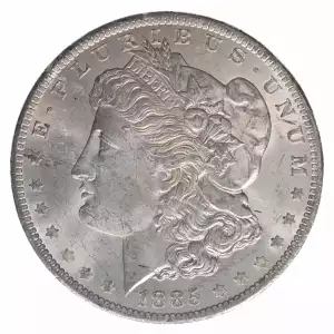 Morgan Silver Dollar (2)