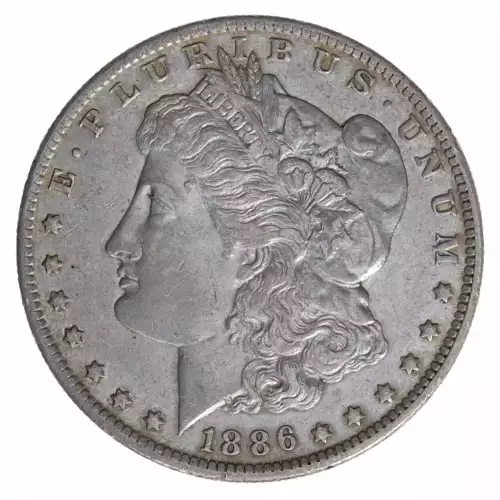 Morgan Silver Dollar (2)