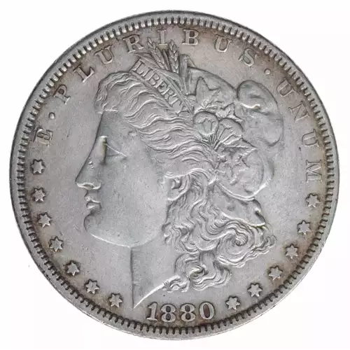 Morgan Silver Dollar (2)