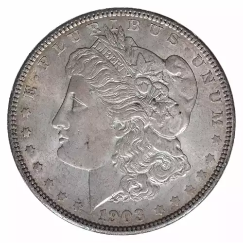 Morgan Silver Dollar (2)