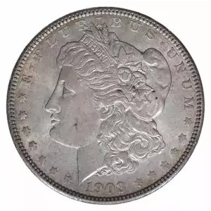 Morgan Silver Dollar (2)