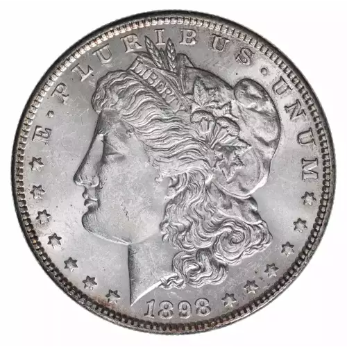 Morgan Silver Dollar (2)