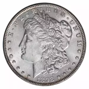 Morgan Silver Dollar (2)