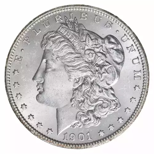 Morgan Silver Dollar (2)