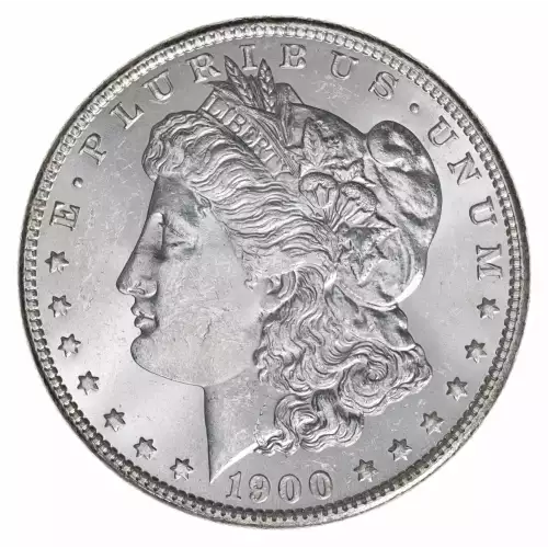 Morgan Silver Dollar (2)