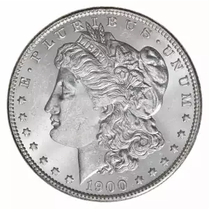 Morgan Silver Dollar (2)