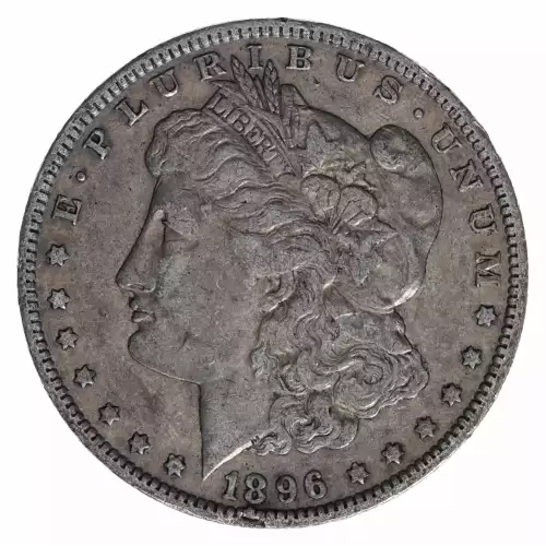 Morgan Silver Dollar (2)