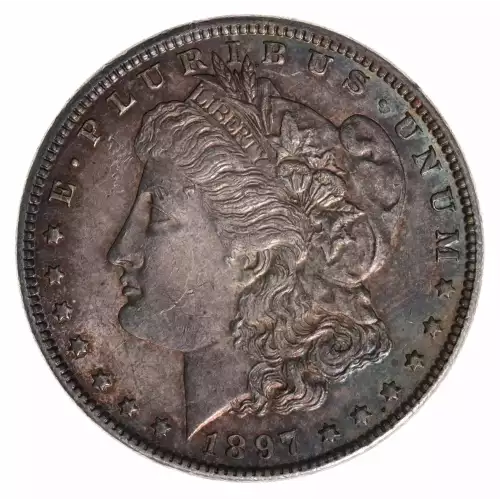 Morgan Silver Dollar (2)