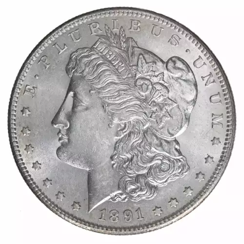 Morgan Silver Dollar (2)