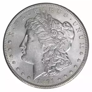 Morgan Silver Dollar (2)