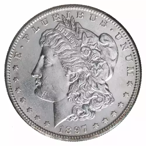 Morgan Silver Dollar (2)