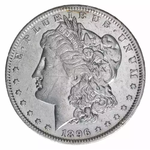 Morgan Silver Dollar (2)