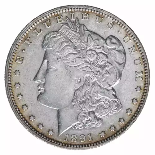 Morgan Silver Dollar (2)