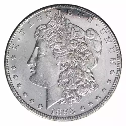 Morgan Silver Dollar (2)