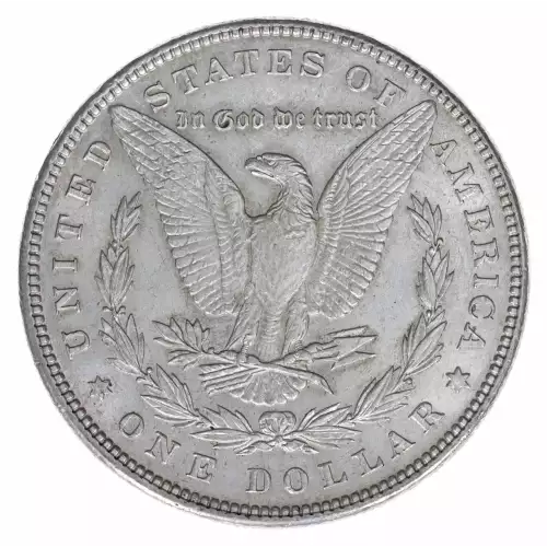 Morgan Silver Dollar (2)