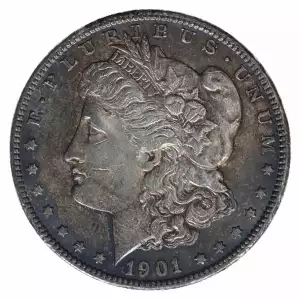 Morgan Silver Dollar (2)