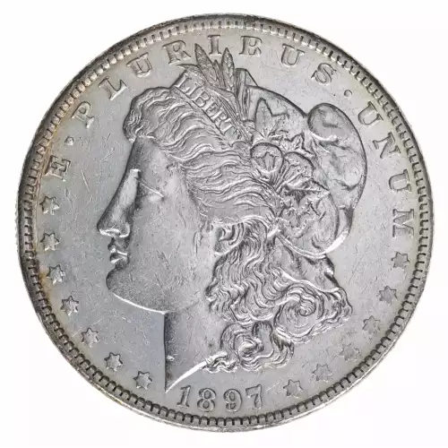 Morgan Silver Dollar